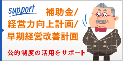 補助金・経営力向上計画・早期経営改善計画