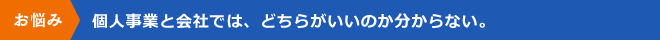 個人事業と会社では、どちらがいいのか分からない。