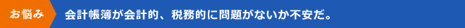 会計帳簿が会計的、税務的に問題がないか不安だ。